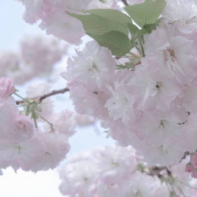 Furry角色动作绘画技巧福瑞交流群